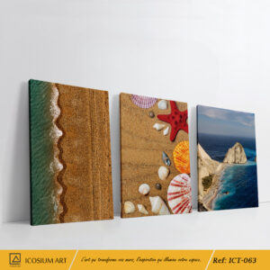 Trio Marin - Sable Doré, Coquillages, Mer Turquoise