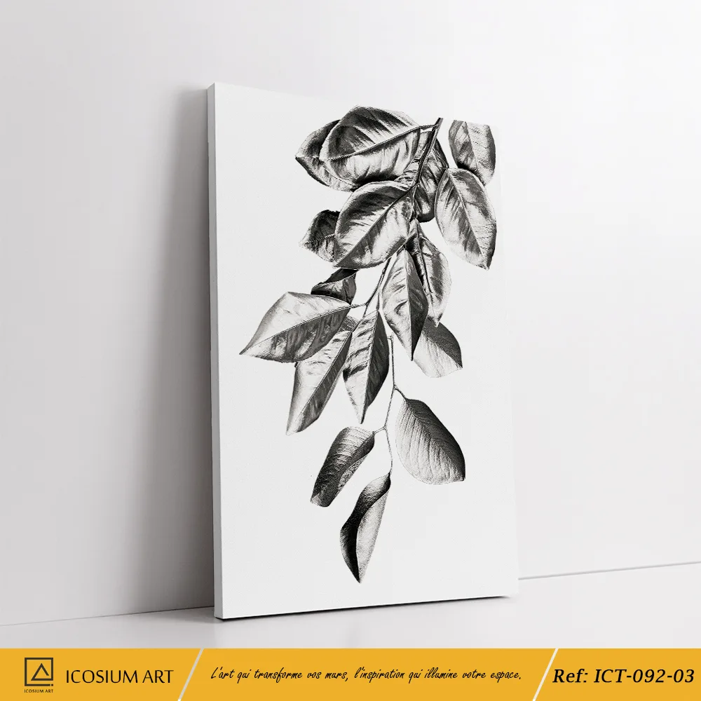 sans nom – Image 4