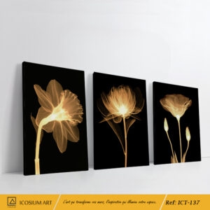 Triptyque "Floral X-Ray" – Art Floral avec Effet Rayons X, Noir Intense et Contraste Lumineux