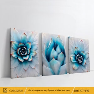 plantes succulentes blues et blanches